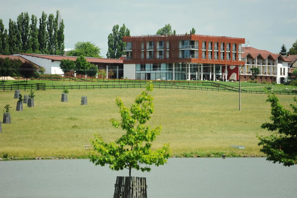 K-Triumf Resort Velichovky Exterior foto